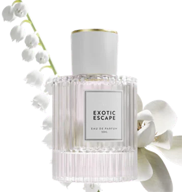 Pheromone Perfume Collection
